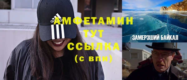 сатива Кулебаки