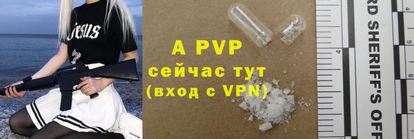 сатива Кулебаки