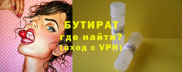 сатива Кулебаки