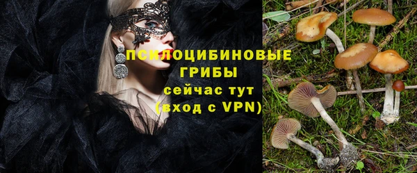 шишки Кукмор