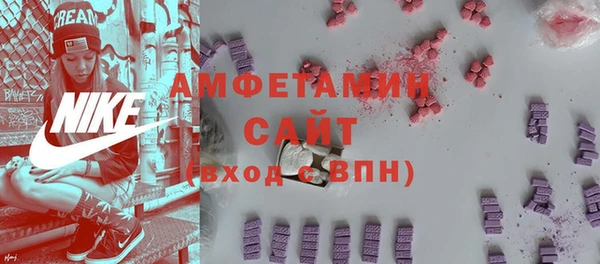 сатива Кулебаки
